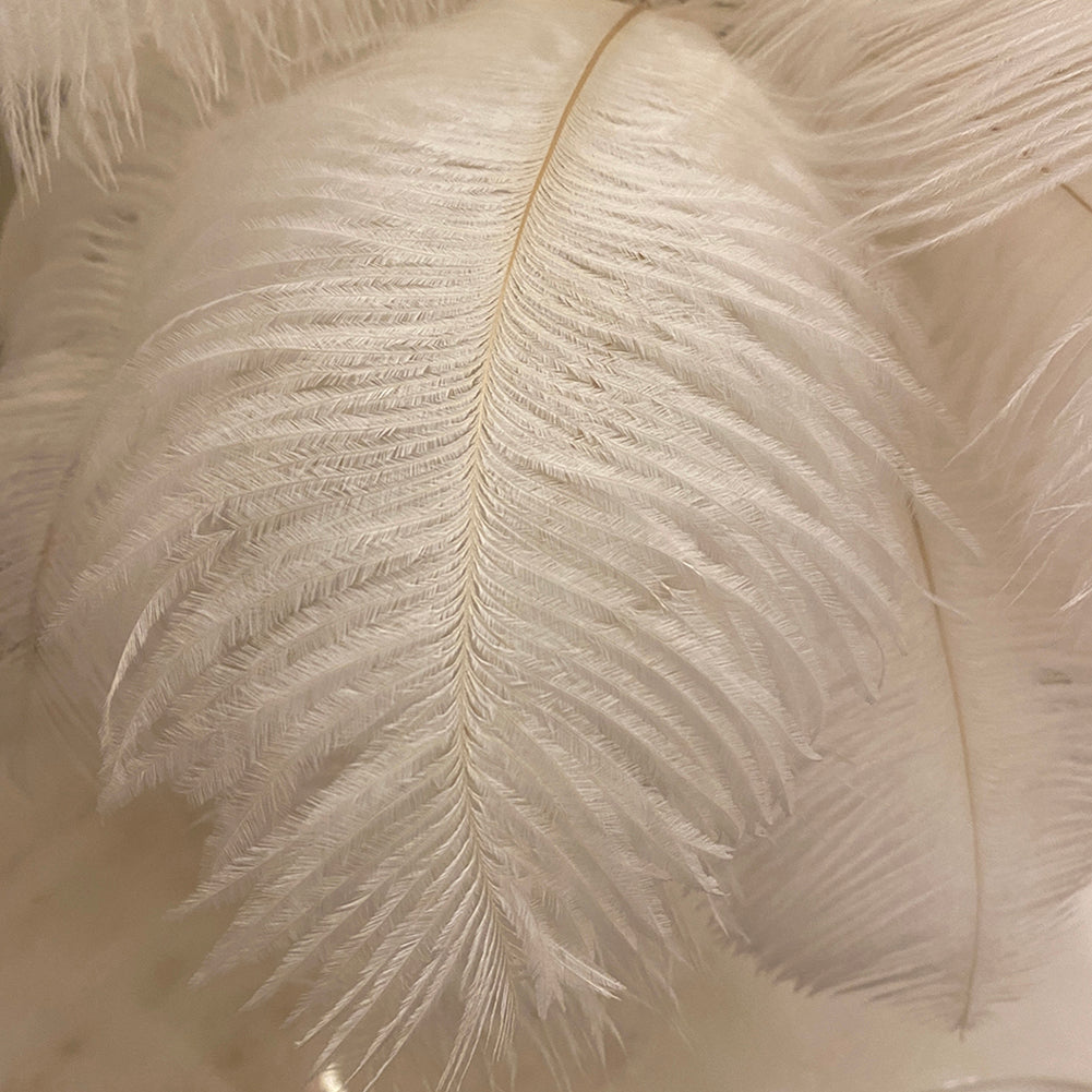 Feathra – Elegante Feder-Tischleuchte mit LED für Schlafzimmer & Wohnzimmer