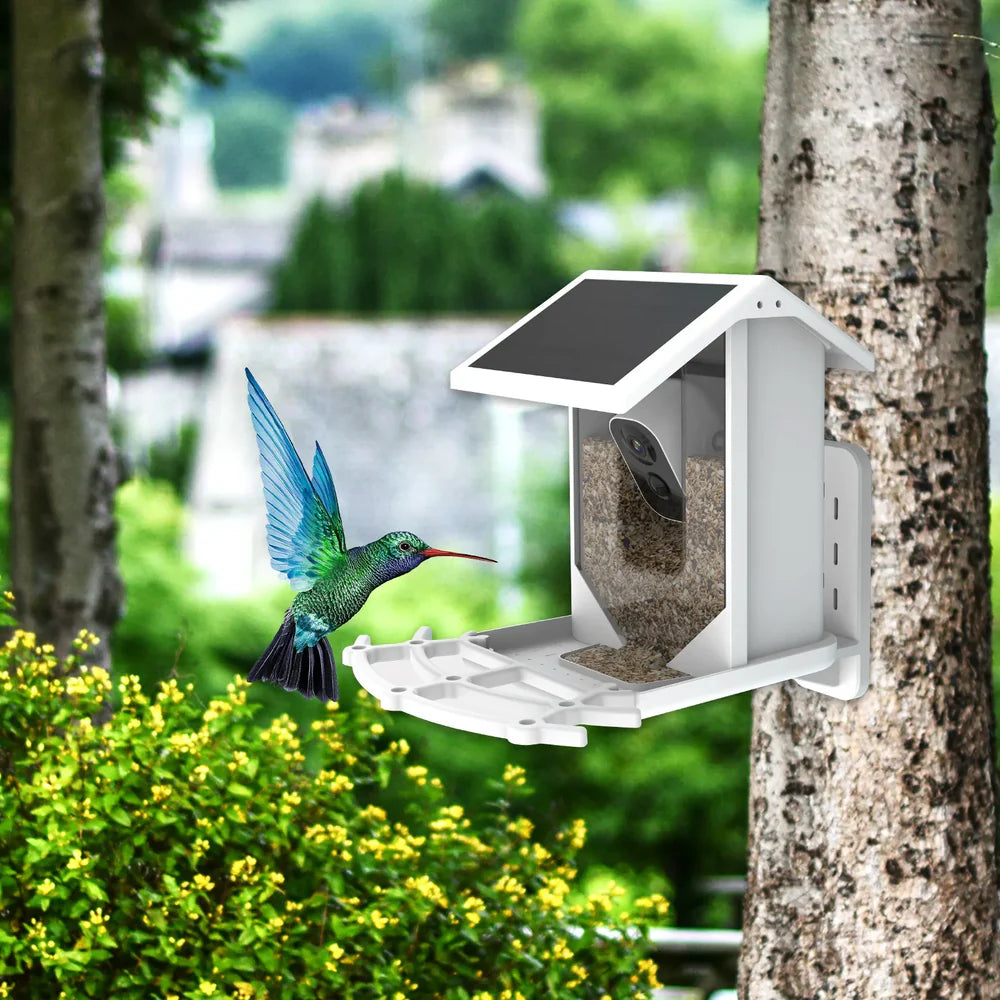 BirdView Solar Futterstation – Intelligente Vogelbeobachtungskamera