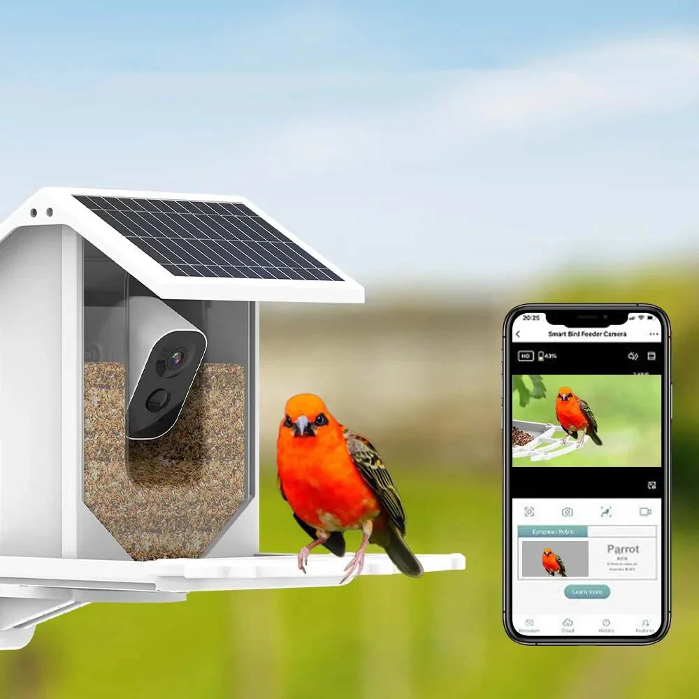 BirdView Solar Futterstation – Intelligente Vogelbeobachtungskamera
