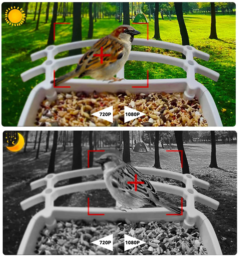 BirdView Solar Futterstation – Intelligente Vogelbeobachtungskamera