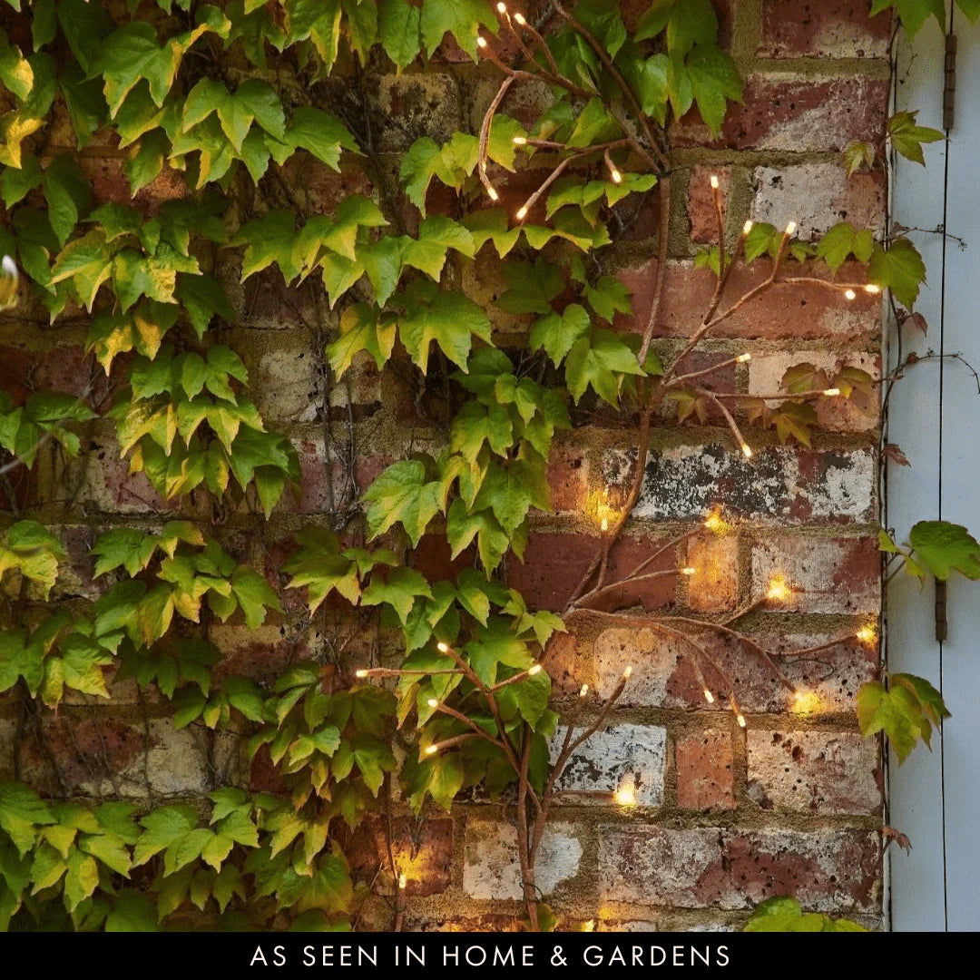 Garten Efeu Lichter – Solar & Stecker