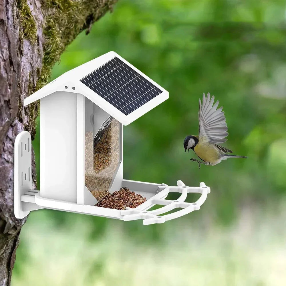 BirdView Solar Futterstation – Intelligente Vogelbeobachtungskamera